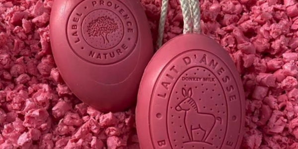 Fringilla risus pretium urna tortor metus 